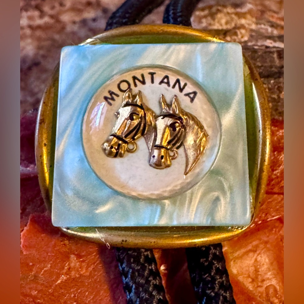 1940s-50s Montana Horses Bubble Bolo Tie Brass Spring Tips Lucite Acrylic NICE
